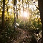 Wissahickon Valley Park