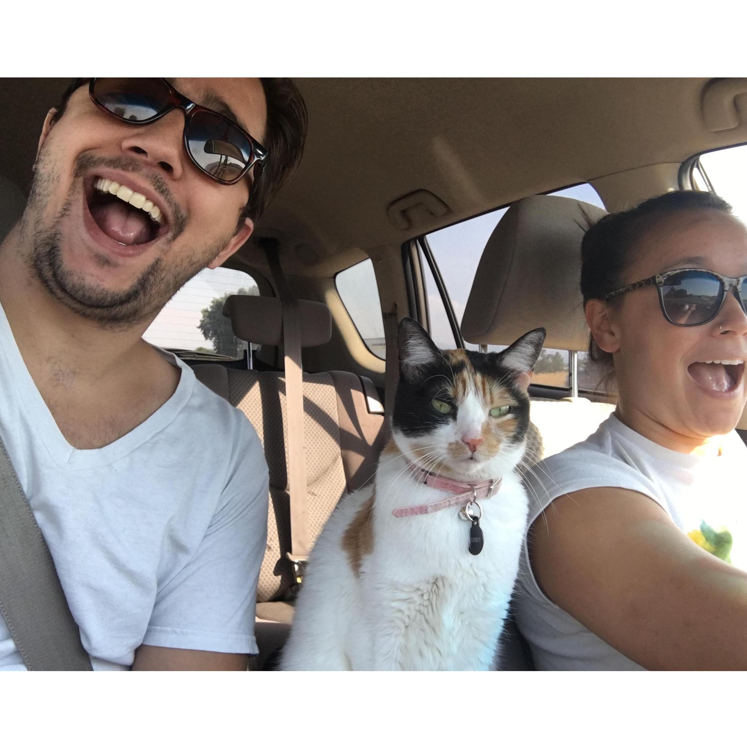 Road tripping with our favorite co-pilot.
