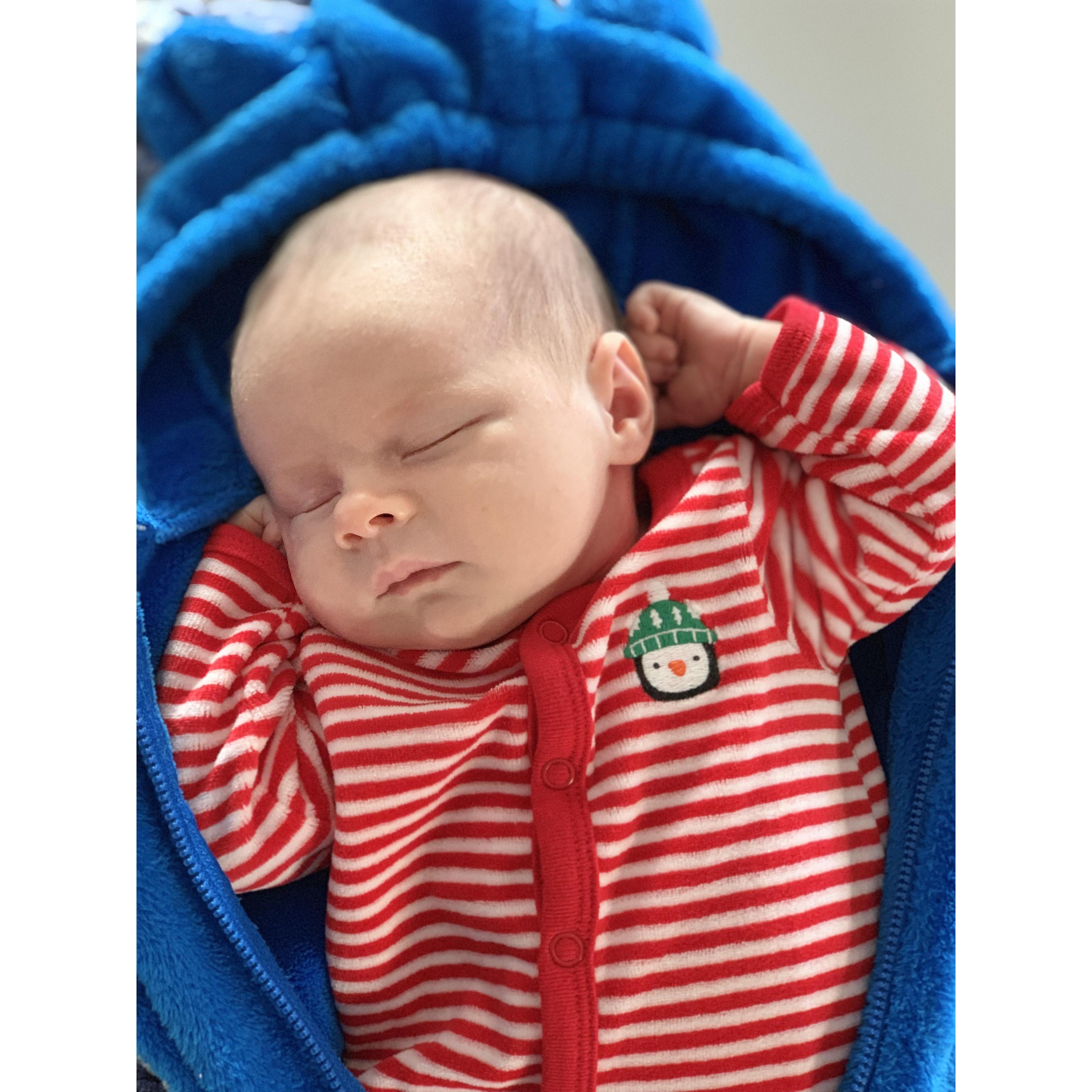 Little Will Dempsey McGinn