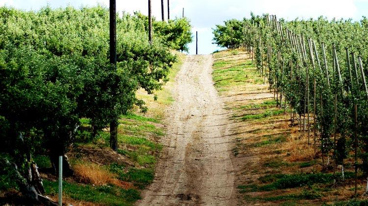 The Wedding Website of Heather Marshall and Luke Kraemer