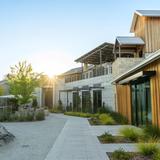 Elusa Winery