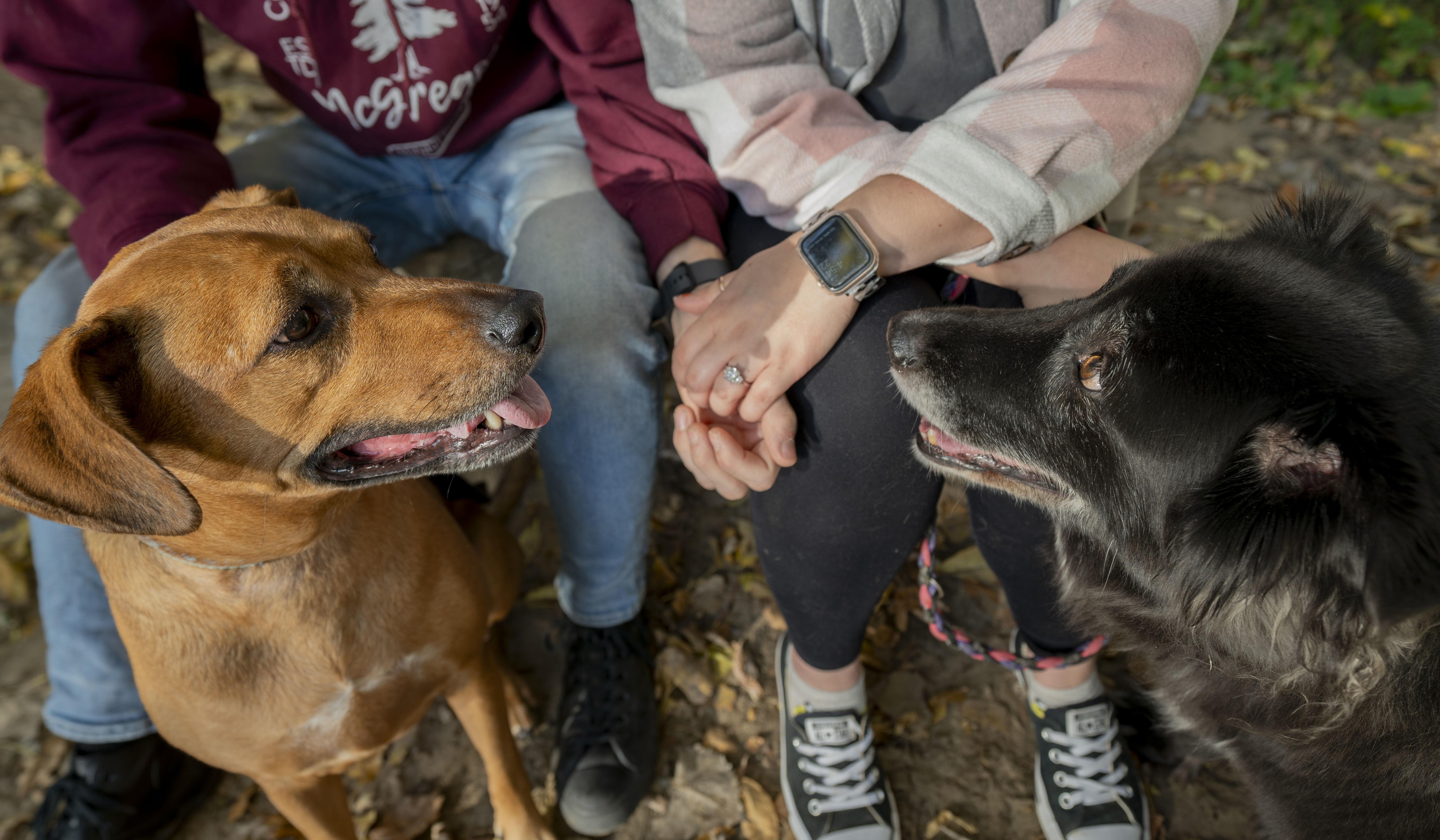 Hero Slideshow Image 2