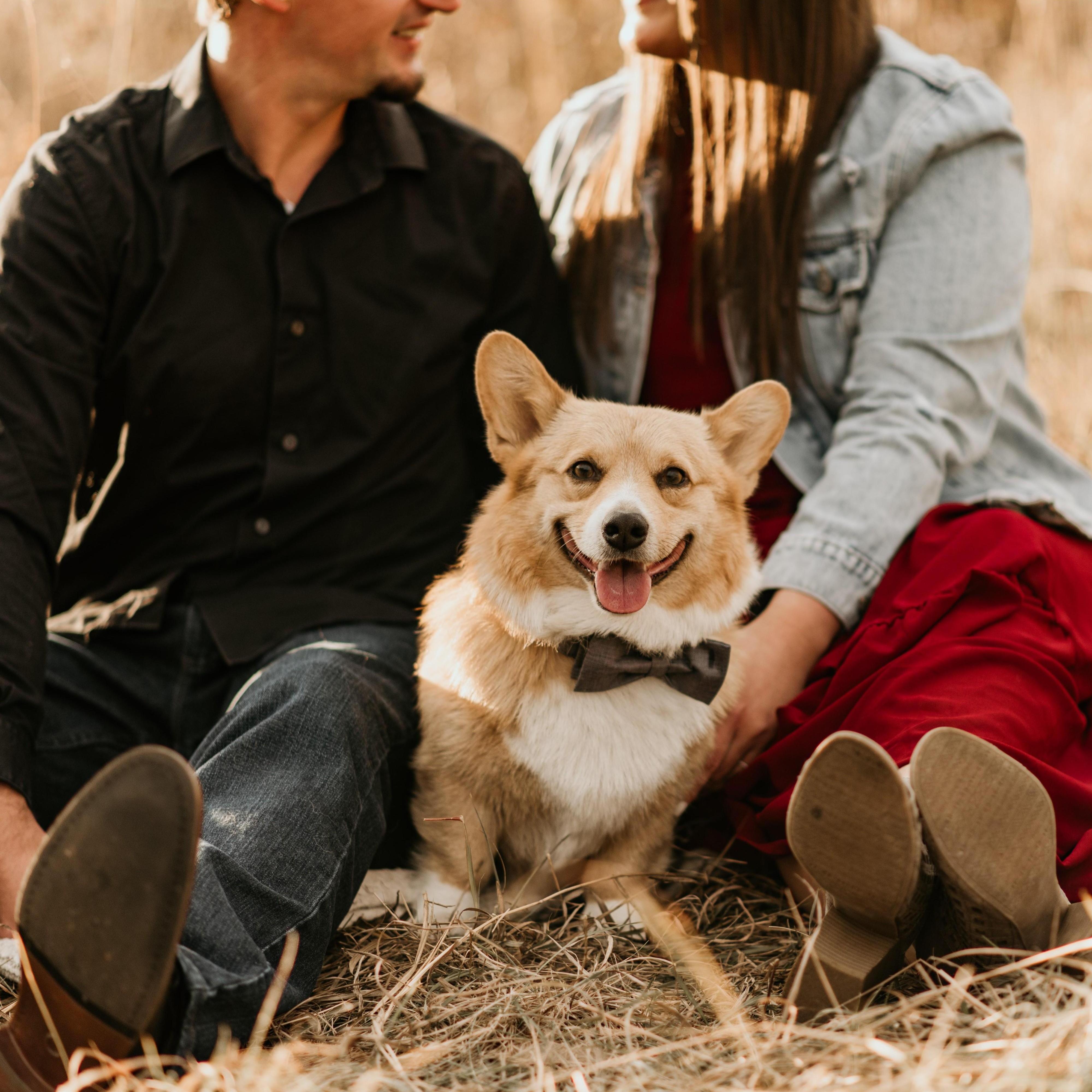Engagement Pictures - October 2020