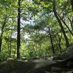 Blue Hills Reservation