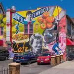 Elmwood Avenue