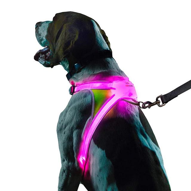 noxgear LightHound – Revolutionary Illuminated and Reflective Harness for Dogs Including Multicolored LED Fiber Optics (USB Rechargeable, Adjustable, Lightweight, Rainproof)