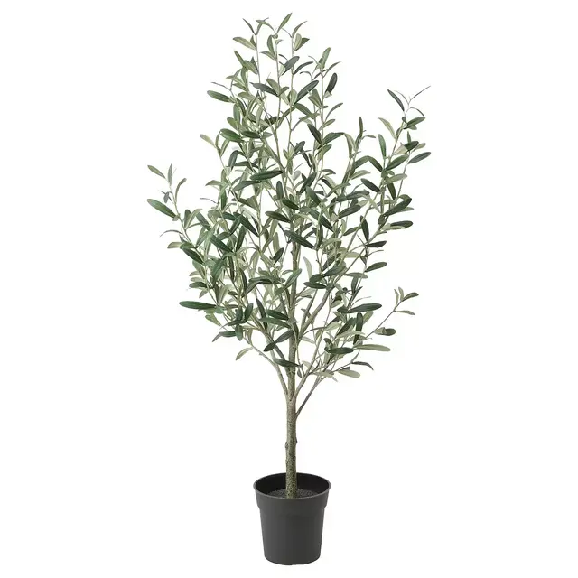 Home Decor - Olive Tree