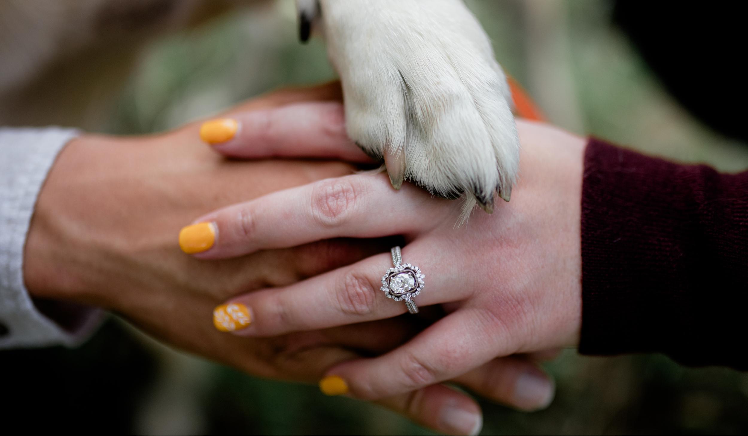 The Wedding Website of Madi Griego and Cyle Ortega