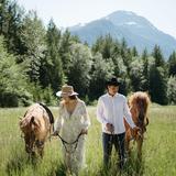 Horse Riding
