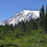 Mount Rainier National Park