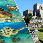 Half-Day Sea Turtle and Cenote Snorkeling Tour from Cancun & Riviera Maya