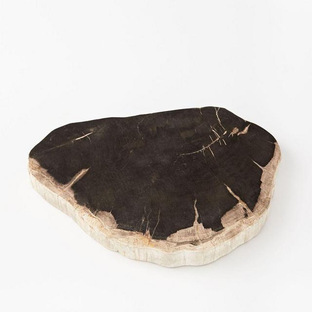 Petrified Wood Cheese Board