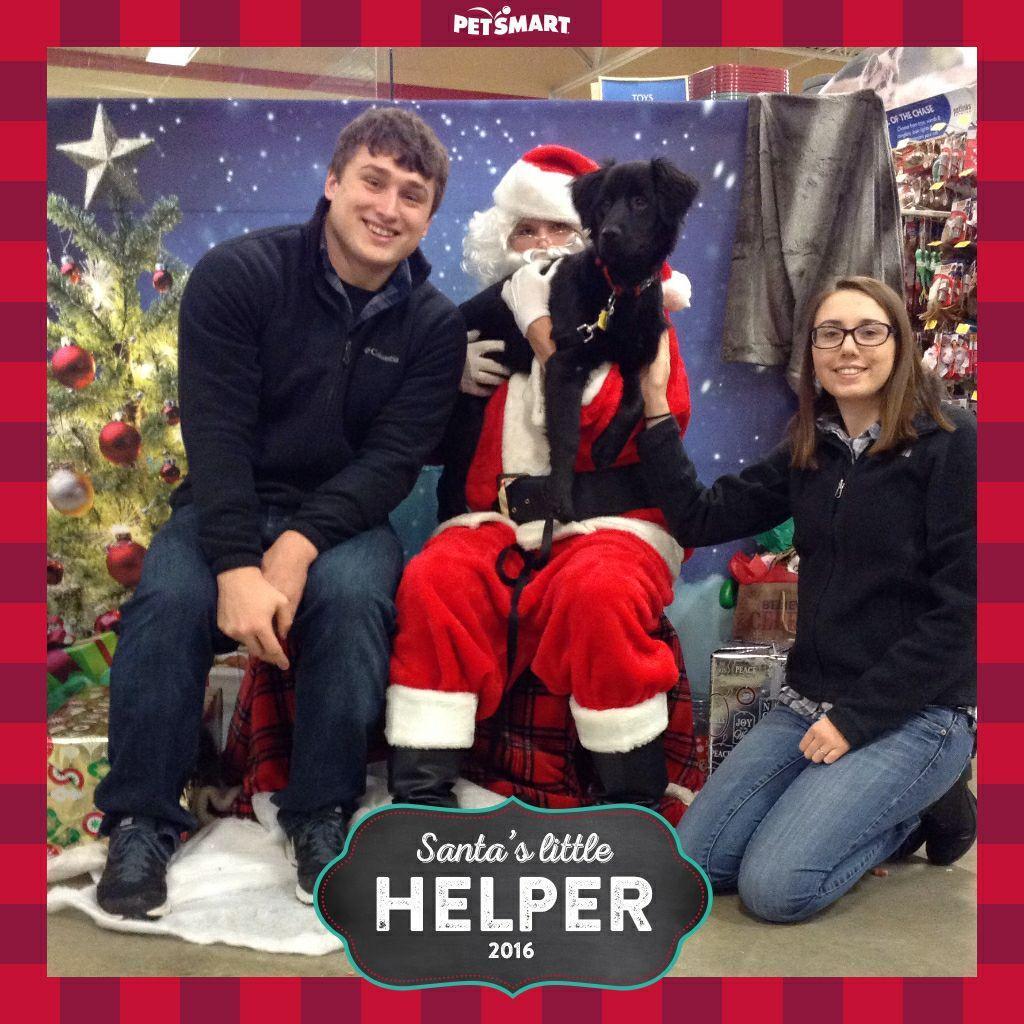 Taking Stella to see santa 2016
