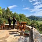 Rombauer Vineyards