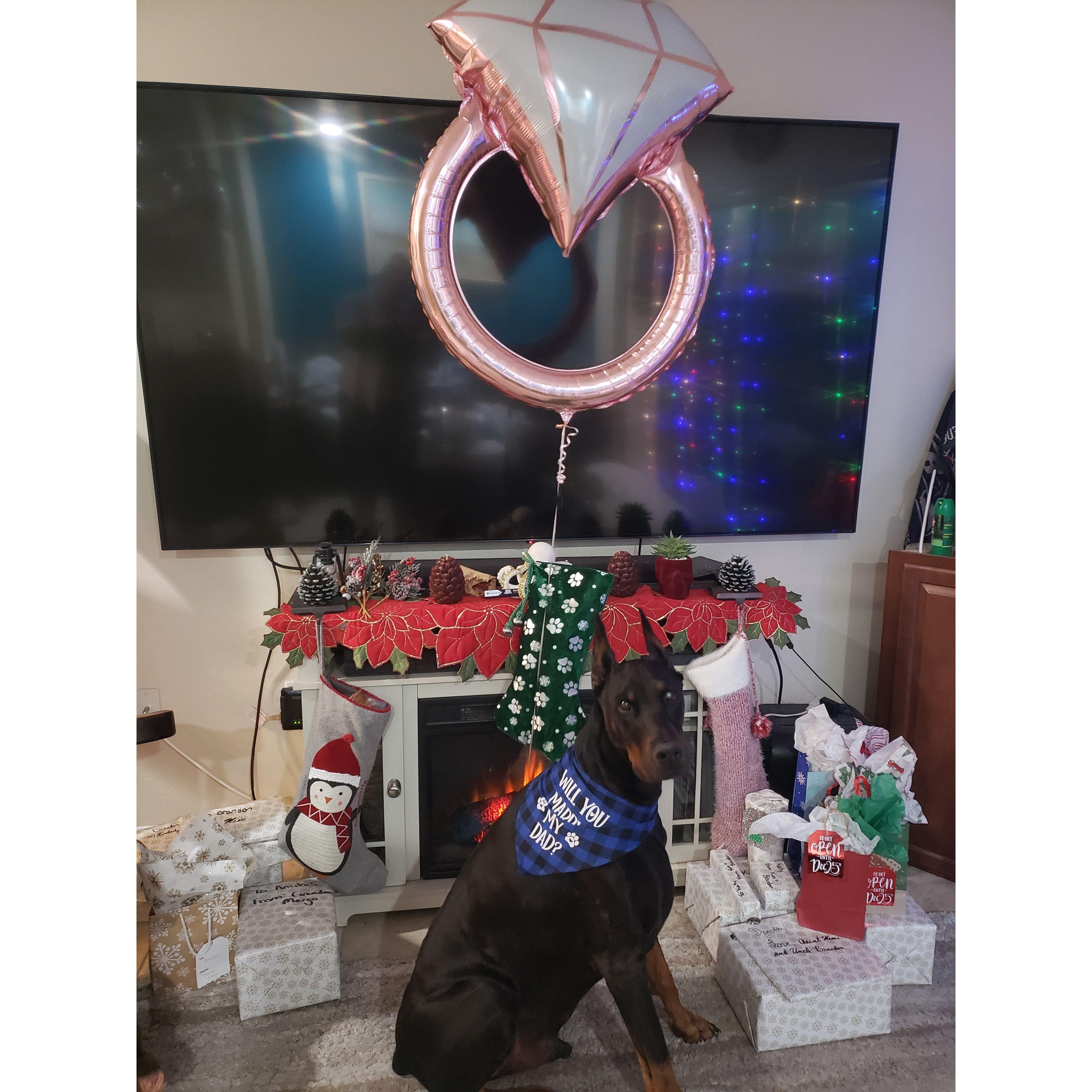 He surprised me on the 7th night of Hanukkah (Dec. 24, 2022) with Anubis and a Question
