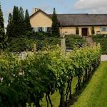 Wölffer Estate Vineyard