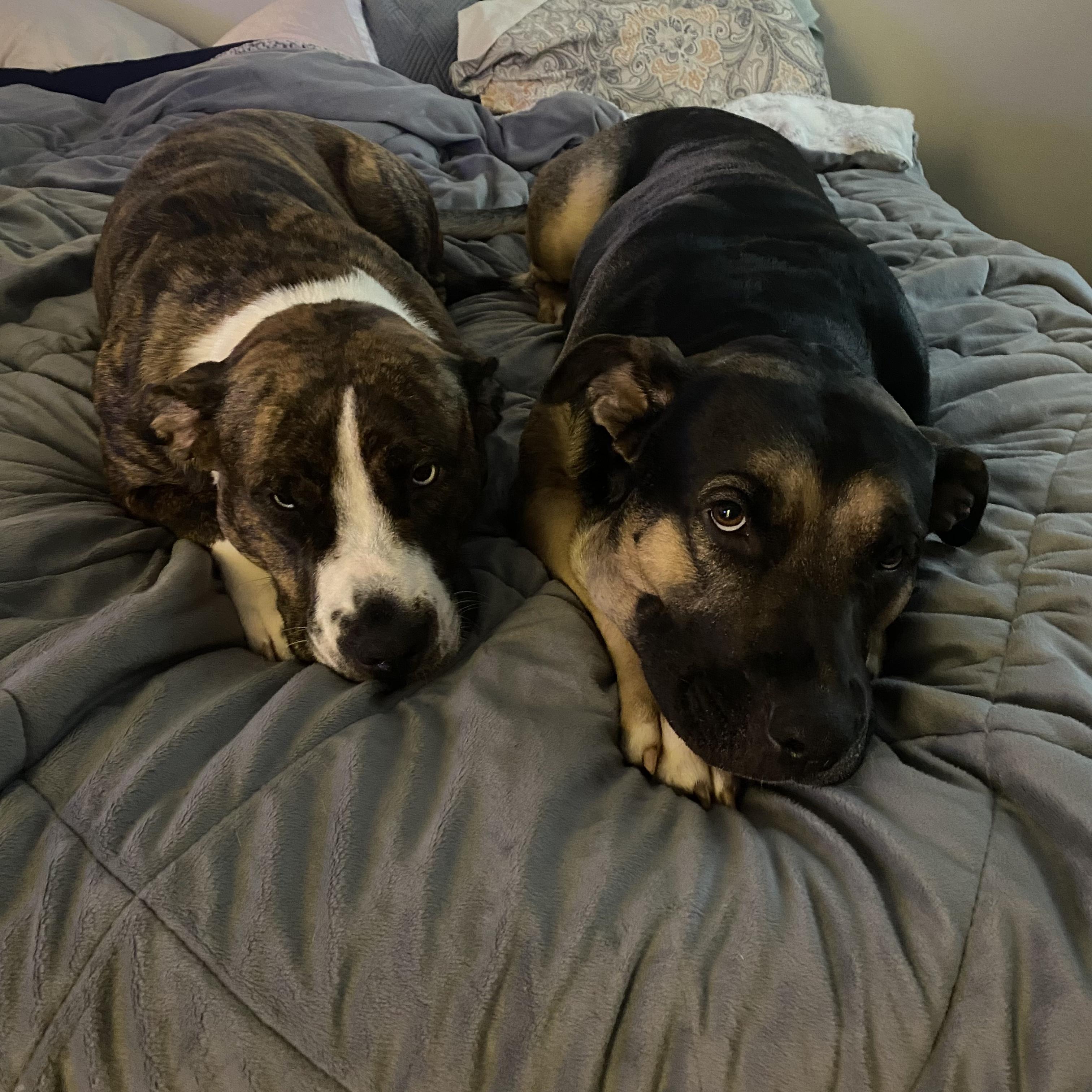 Our 2nd and 3rd bad kids 