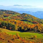 Nature & Hiking