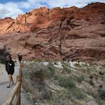 Red Rock Canyon National Conservation Area