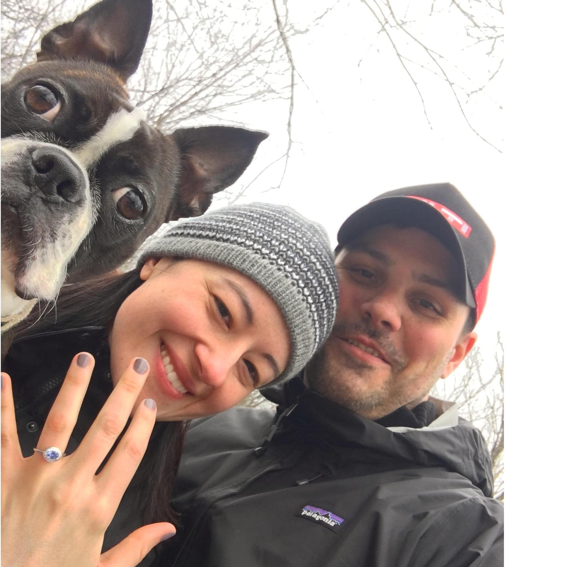 Hiking, getting engaged, chasing squirrels