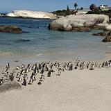 Boulders Beach