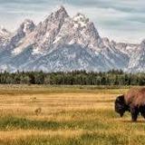 Grand Teton National Park