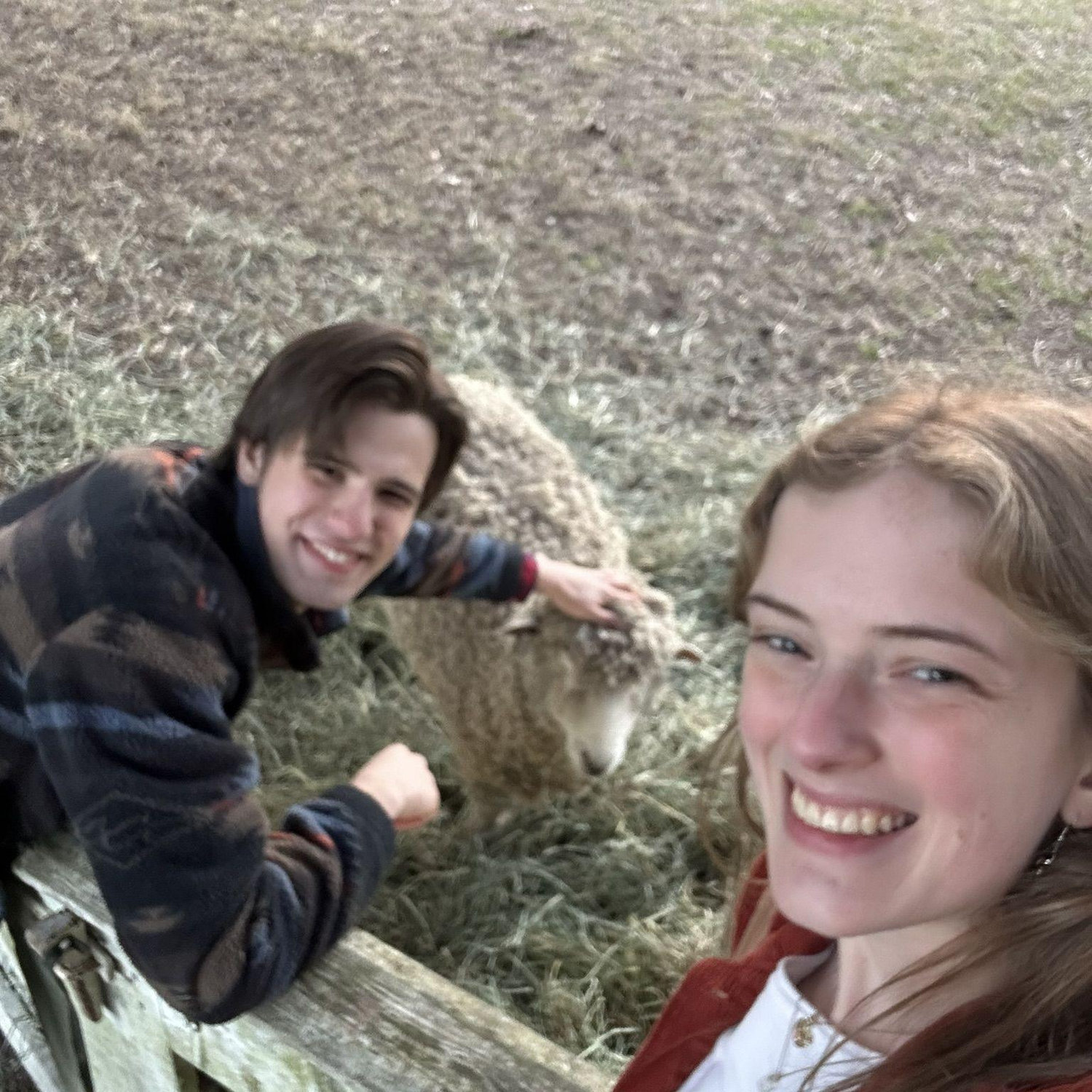 This is minutes before we got engaged... just petting a sheep😊