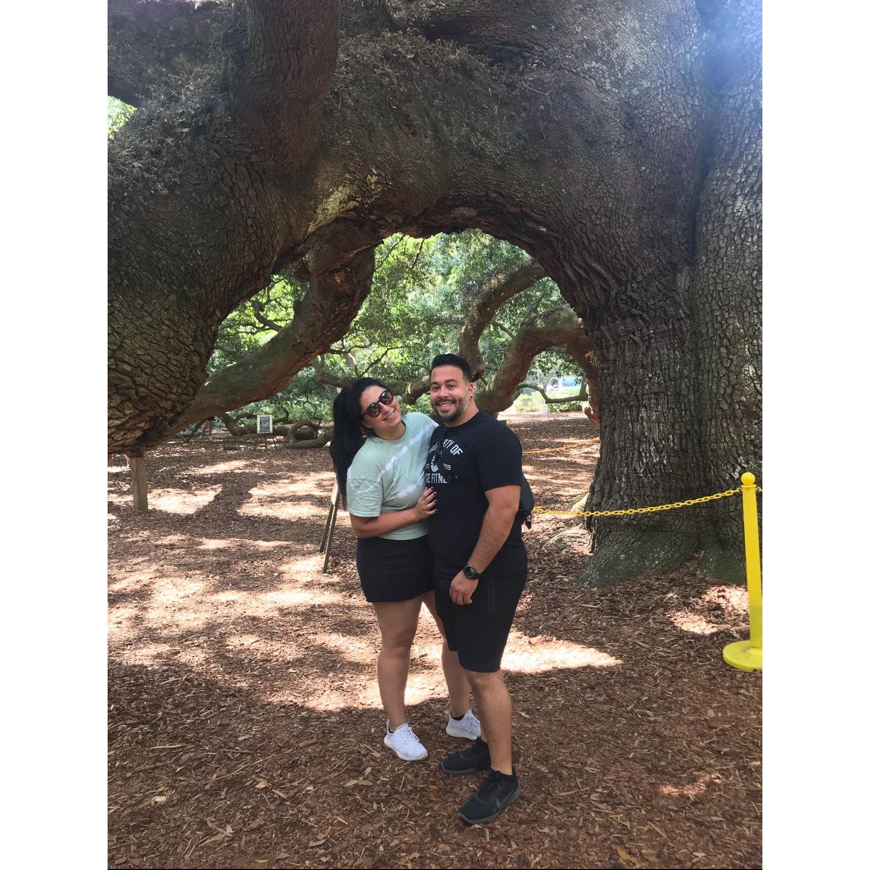 Visiting the Angel Oak Tree Charleston, South Carolina 2021