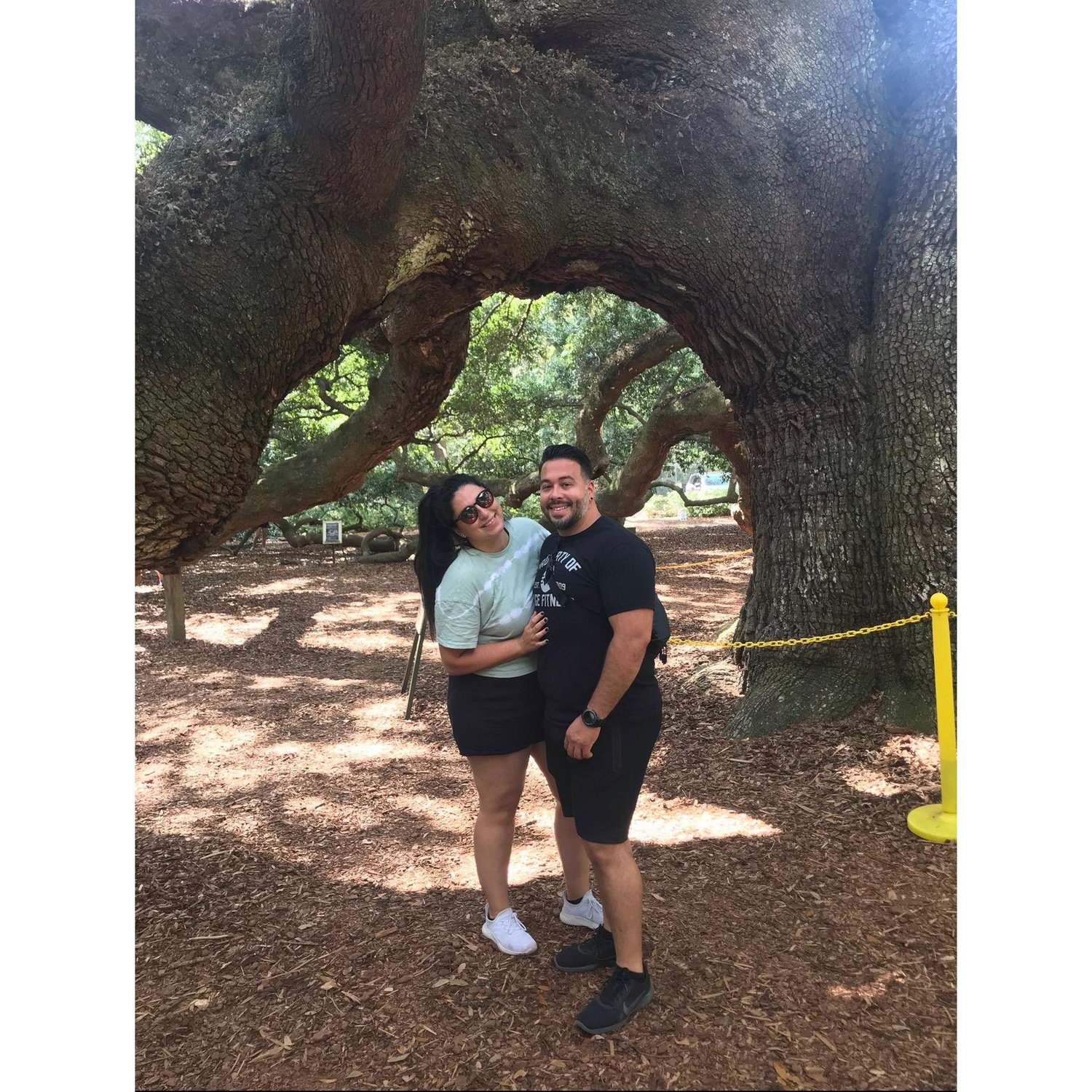 Visiting the Angel Oak Tree Charleston, South Carolina 2021