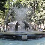 Centro de Coyoacan