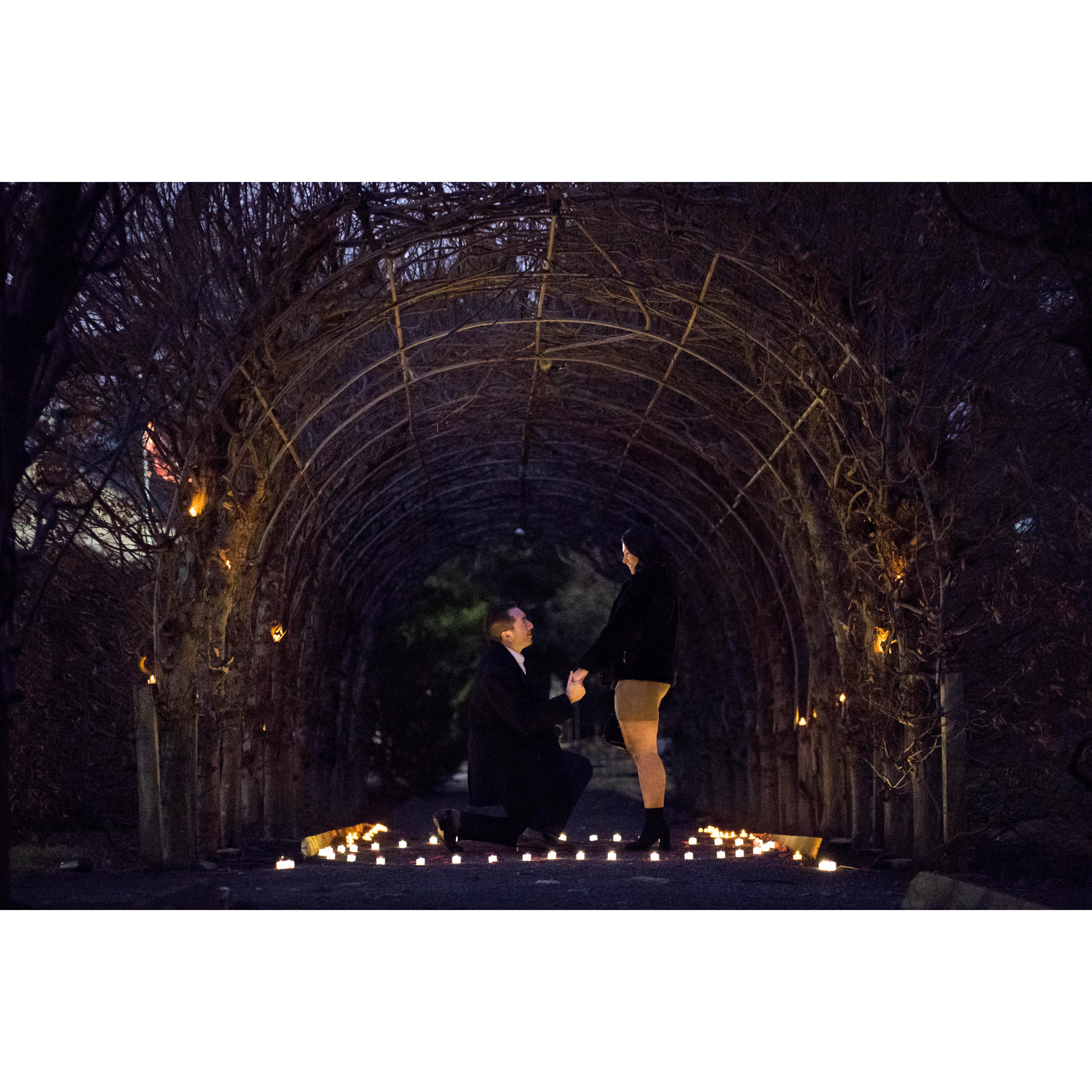 The Proposal.
Snug Harbor, Staten Island
