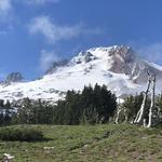 Timberline Lodge