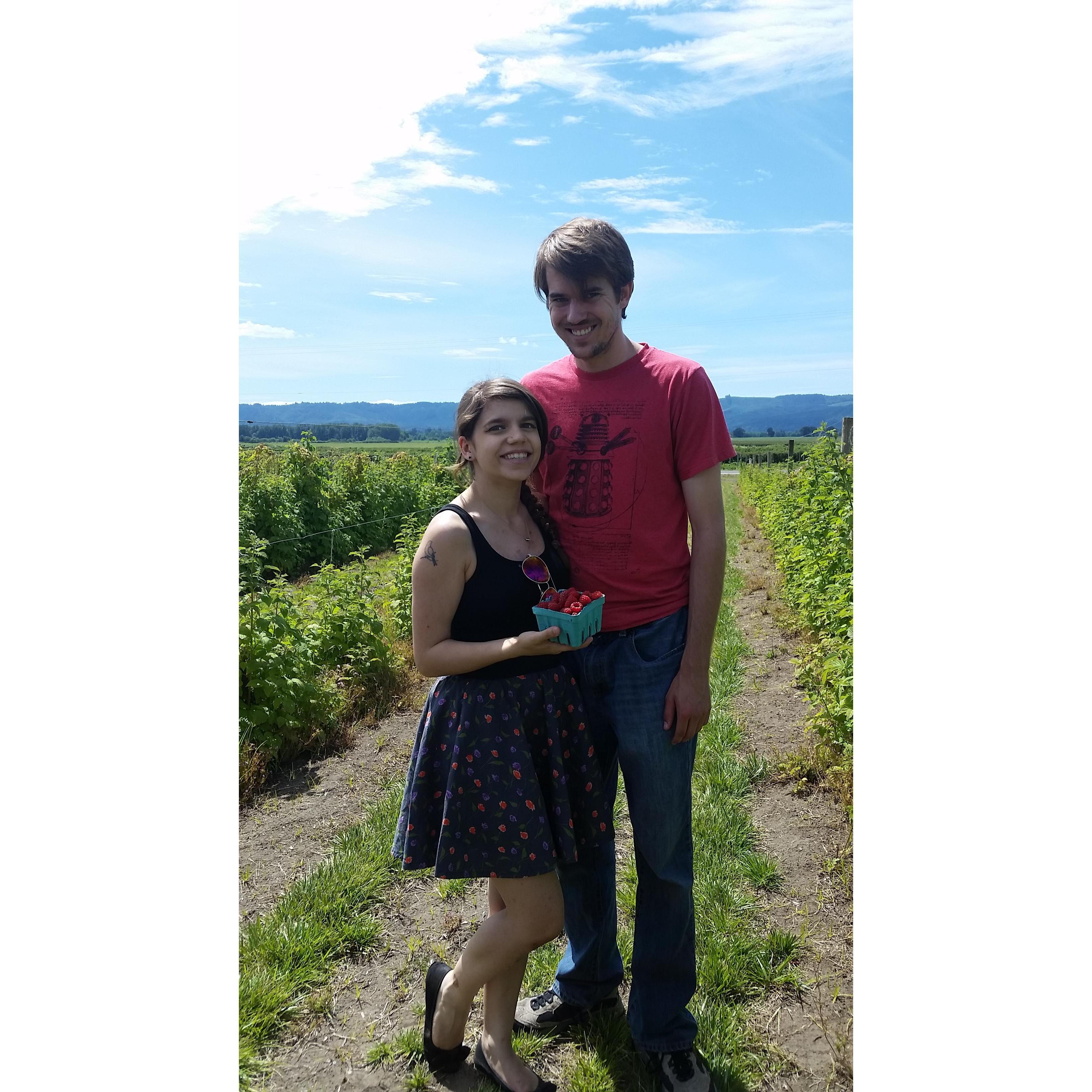 Berry picking on Sauvie Island. June 2016