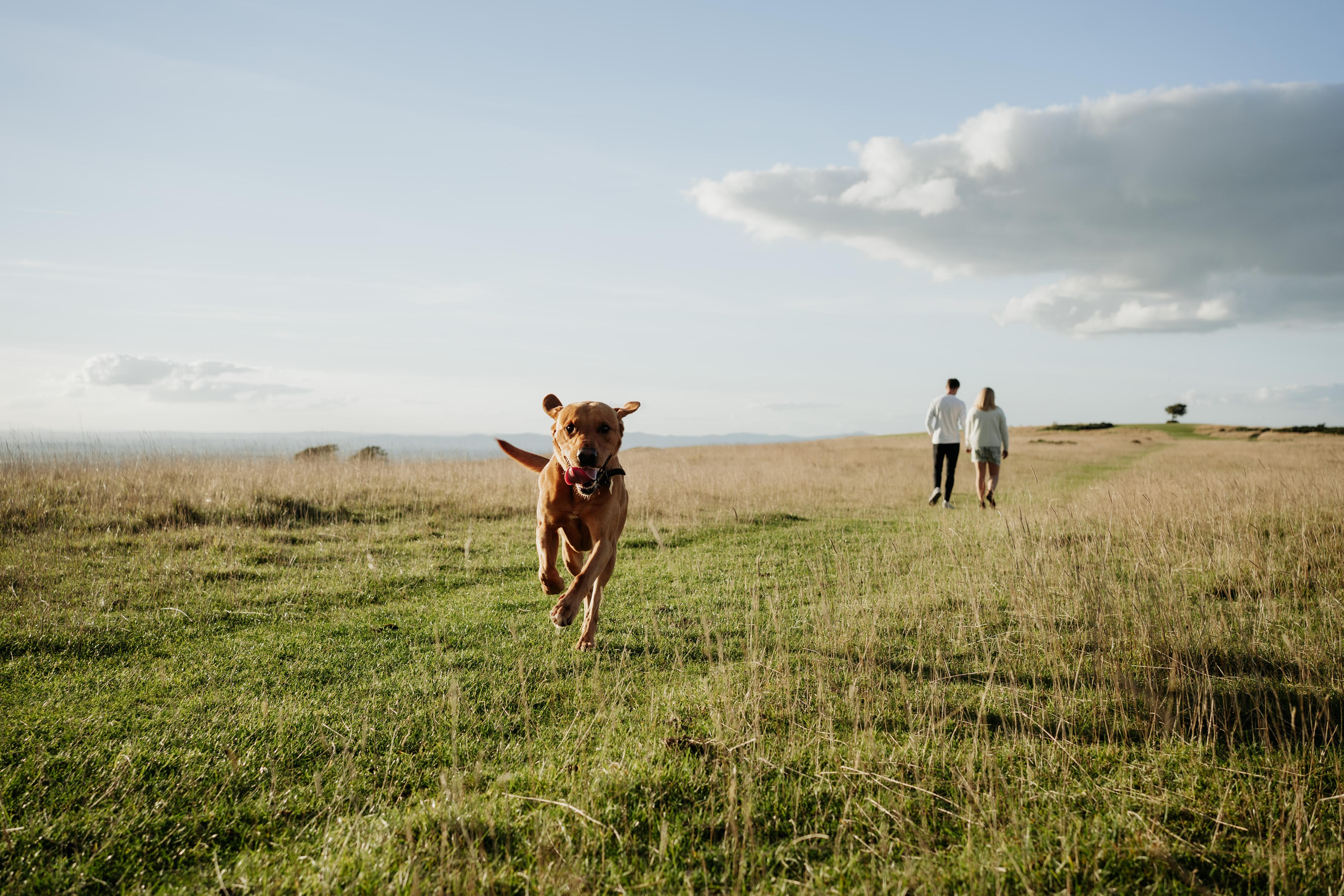 The Wedding Website of Allie Broomfield-Gull and Ben Sheldrake