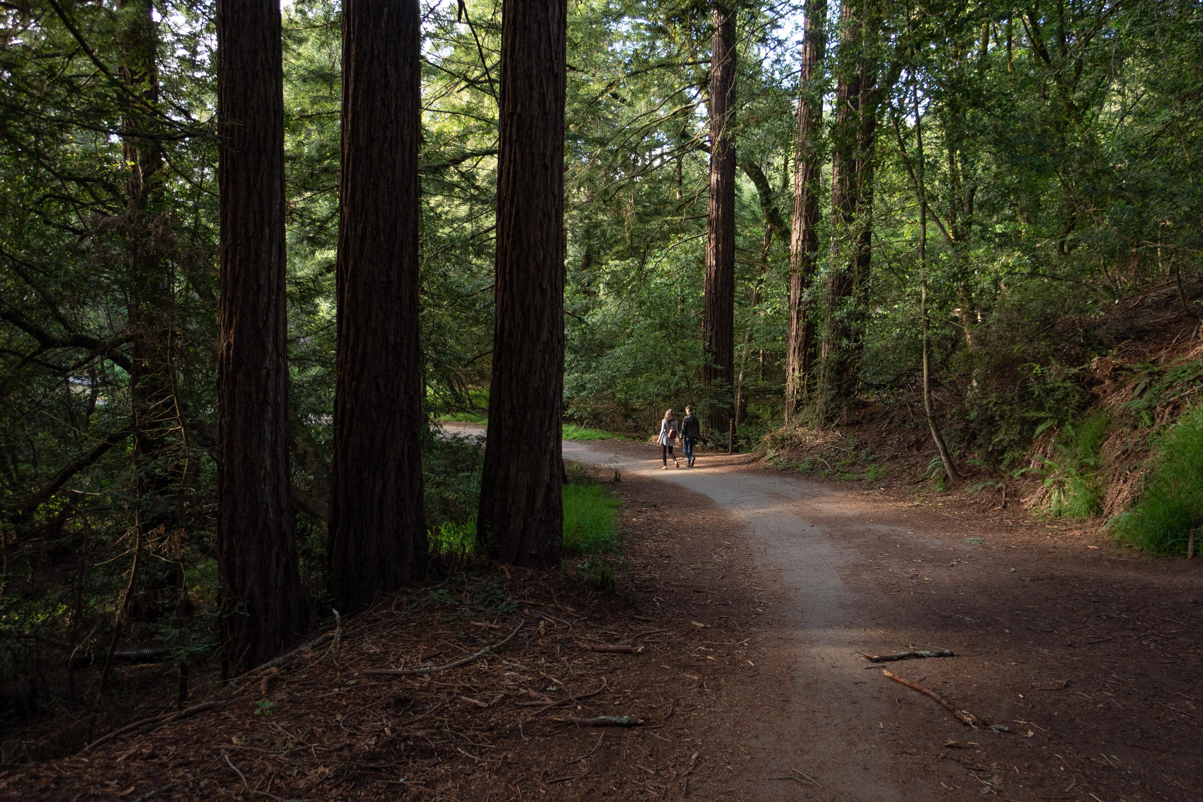 The Wedding Website of Shelby Snider and Chris Lem