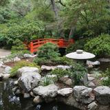 Descanso Gardens
