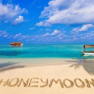 Our Honeymoon Fund!