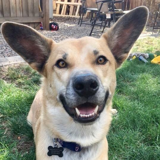 Jaxon’s Doggy-moon