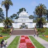 San Francisco Botanical Garden
