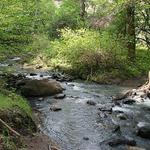 Bothe State Park