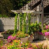 Sensory Garden