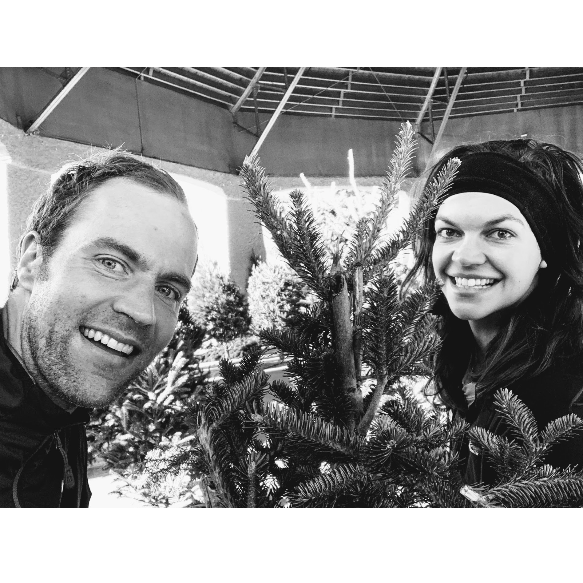 Buying our first real Christmas tree... Charlie Brown
