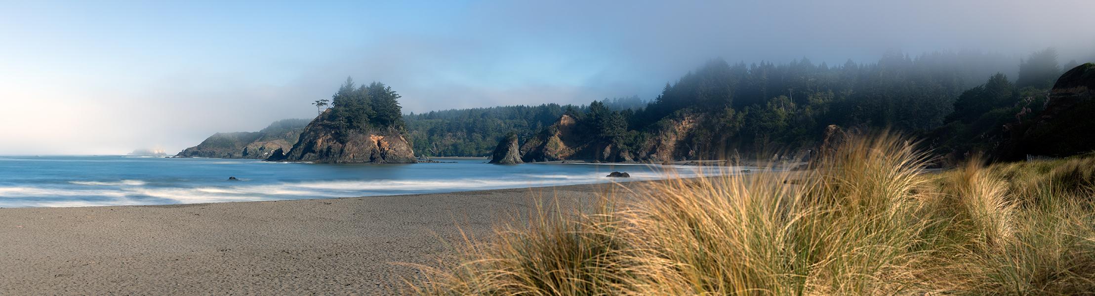 The Wedding Website of Houston Douglass and Amanda Steinheiser