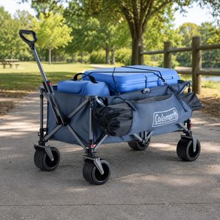 Collapsible XL Wagon