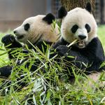 National Zoo