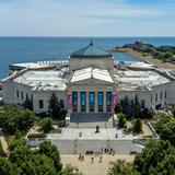 Shedd Aquarium