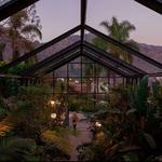 Restaurante y Bar: Margarita Concept Garden
