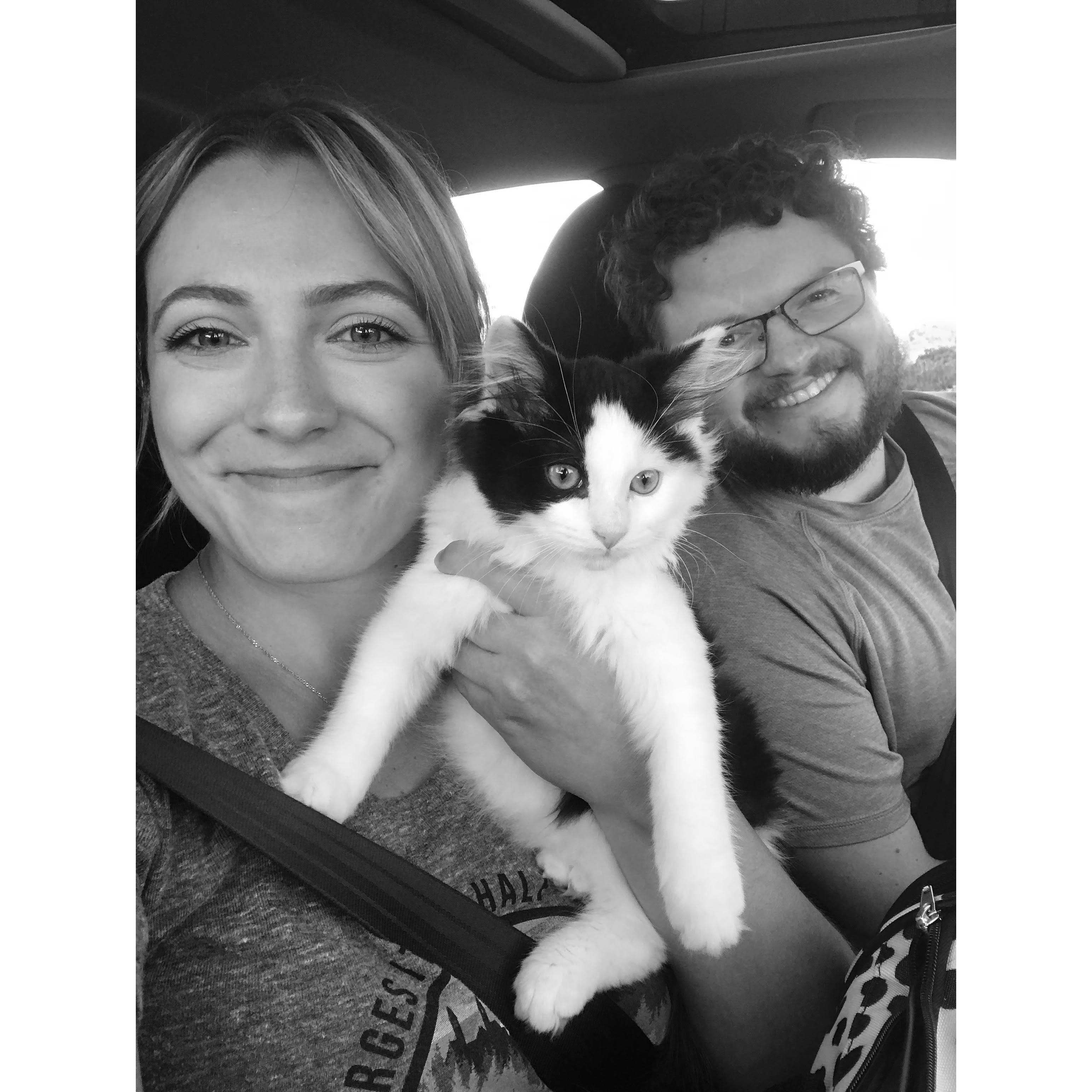 The day we adopted our crazy cat, Murphy.