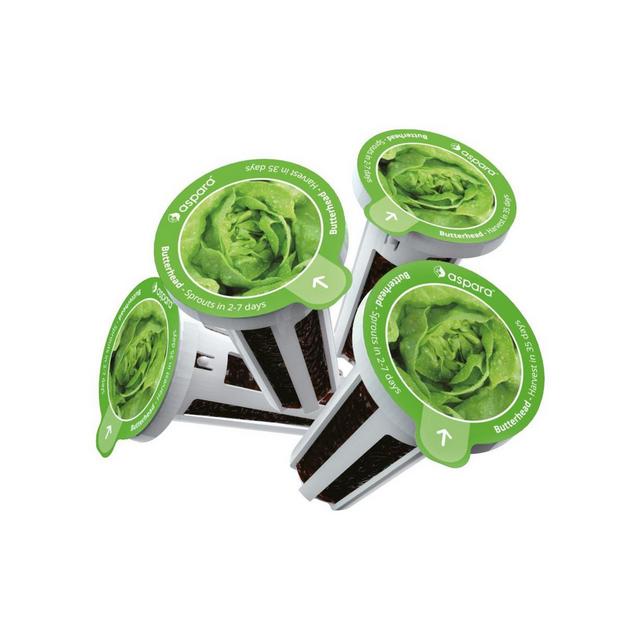 Aspara KLG0002 8 capsule seed kit - Butterhead