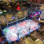 The Rink at Campus Martius Park